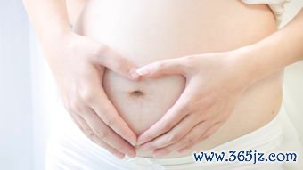 切除子宫能做试管婴儿吗