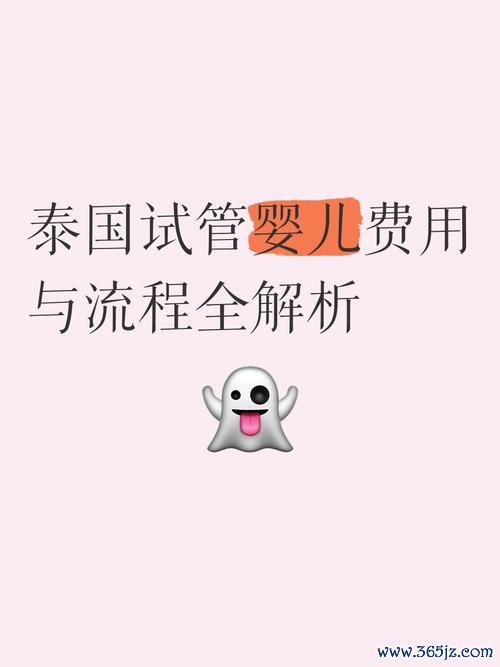 到泰国试管婴儿费用多少