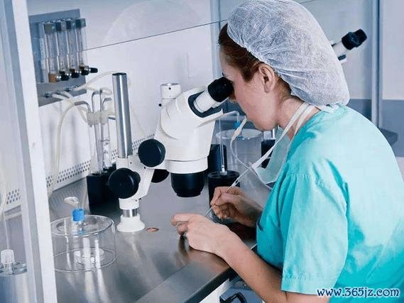 加拿大试管婴儿