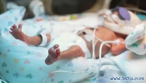 加拿大试管婴儿