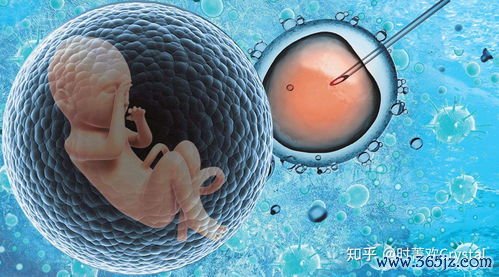 北京供精试管婴儿，供精条件流程费用全解