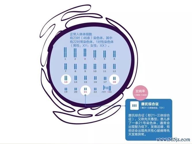北京供精试管婴儿流程，有在泰国做过试管的吗