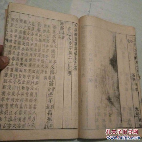 辨证论治为什么是中医灵魂？一位老中医的临证心得