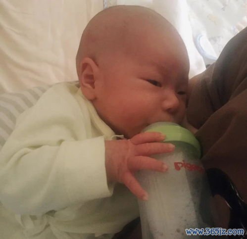 混合喂养：母乳不够加奶粉