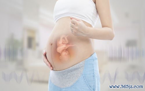 北京哪个医院做试管婴儿好