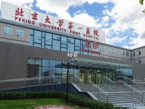 北京哪个医院试管婴儿好