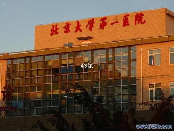 北京哪个医院做试管婴儿