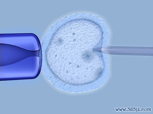 北京哪家医院做试管婴儿好？什么情况不能做试管