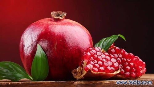 金樱子涩肠，金樱子膏
