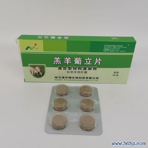 金荞麦治肺脓疡，金荞麦片
