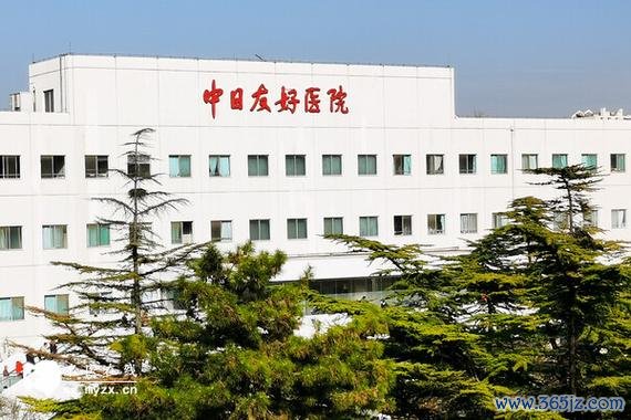 北京哪家试管婴儿医院好