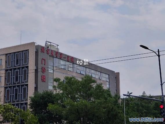 北京有做试管婴儿的医院吗