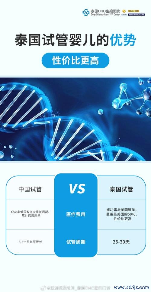 北京泰国试管婴儿 北京泰国试管婴儿