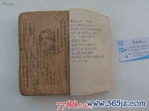 针灸大成这本书有多牛？明代针灸巨著精华解读