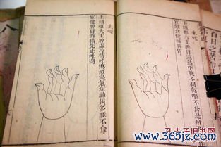 针灸甲乙经皇甫谧，针灸学大成奠基